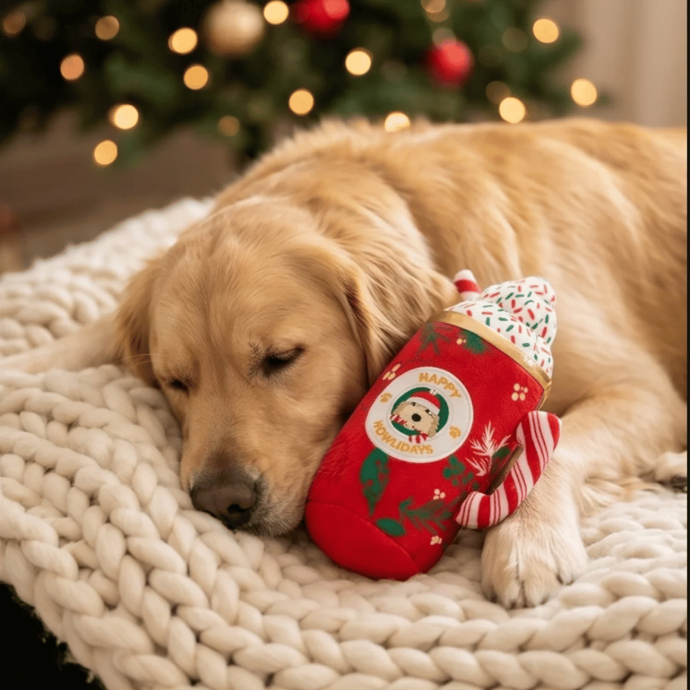 Howliday Cheer Mug Christmas Plush Dog Toy