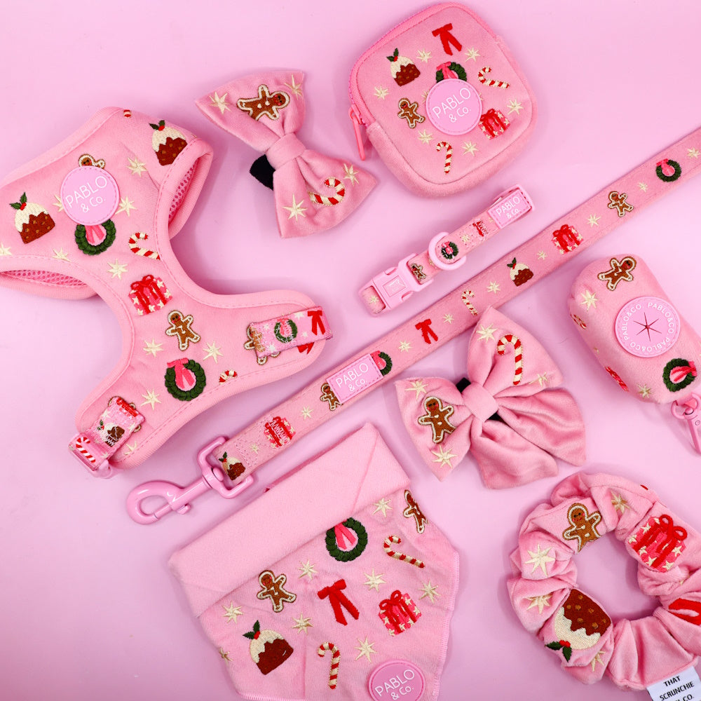 Pablo & Co Merry & Bright Bow Tie