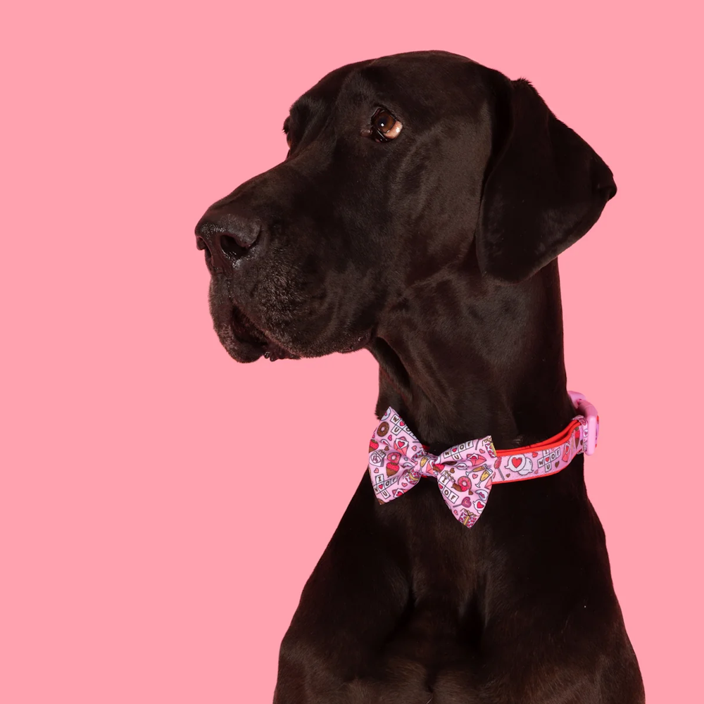 Big & Little Dogs I Woof You Collar & Bow Tie