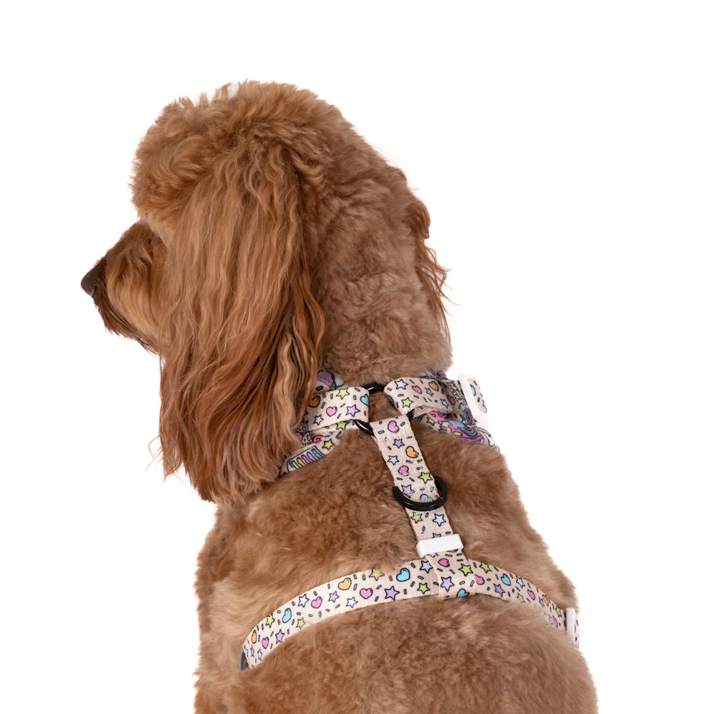Big & Little Dogs It's My Bark Day Adjustable Harness