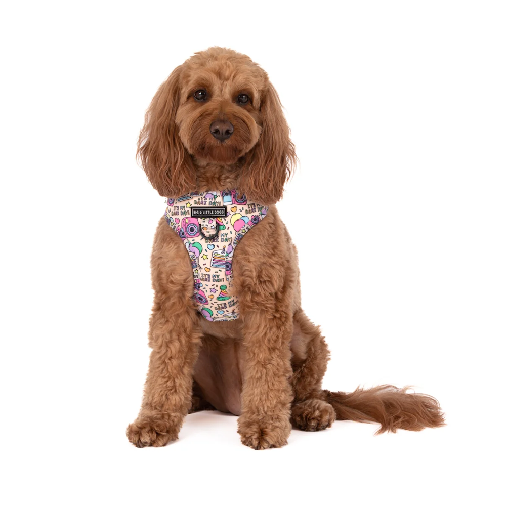 Big & Little Dogs It's My Bark Day Adjustable Harness