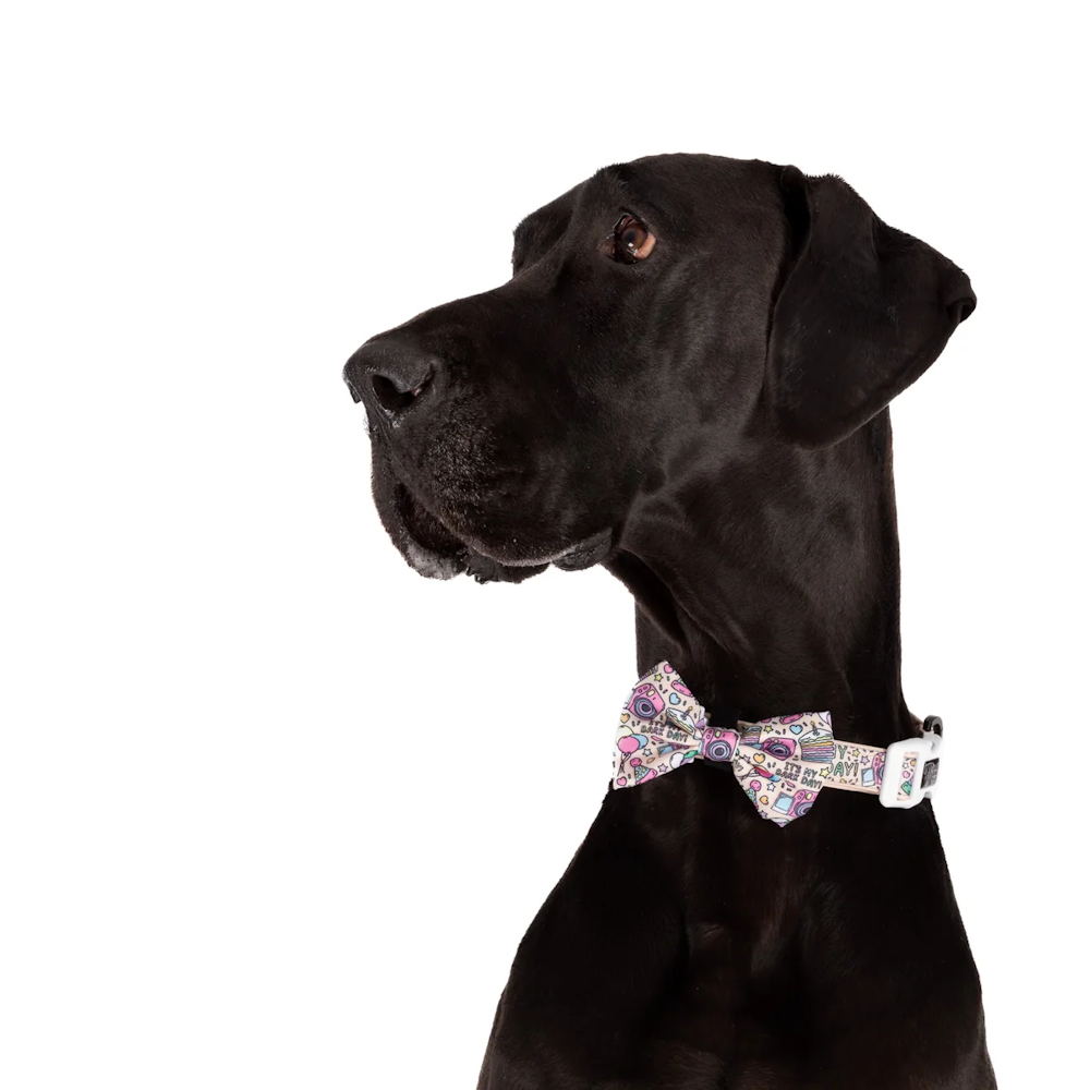 Big & Little Dogs It's My Bark Day Collar & Bow Tie