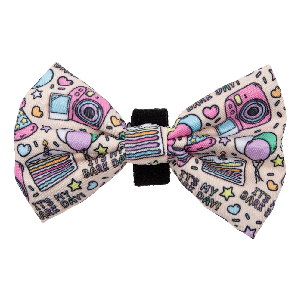 Big & Little Dogs It's My Bark Day Collar & Bow Tie