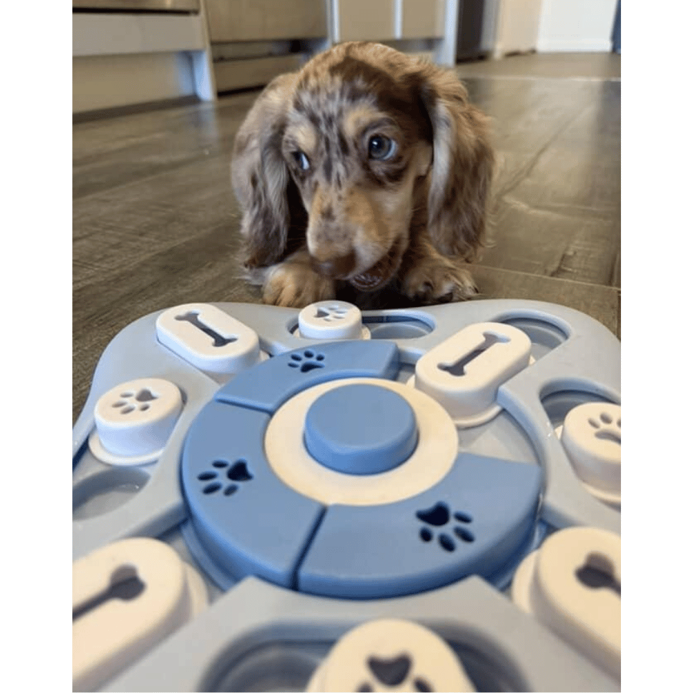 Snacker Slide and Seek Dog Puzzle