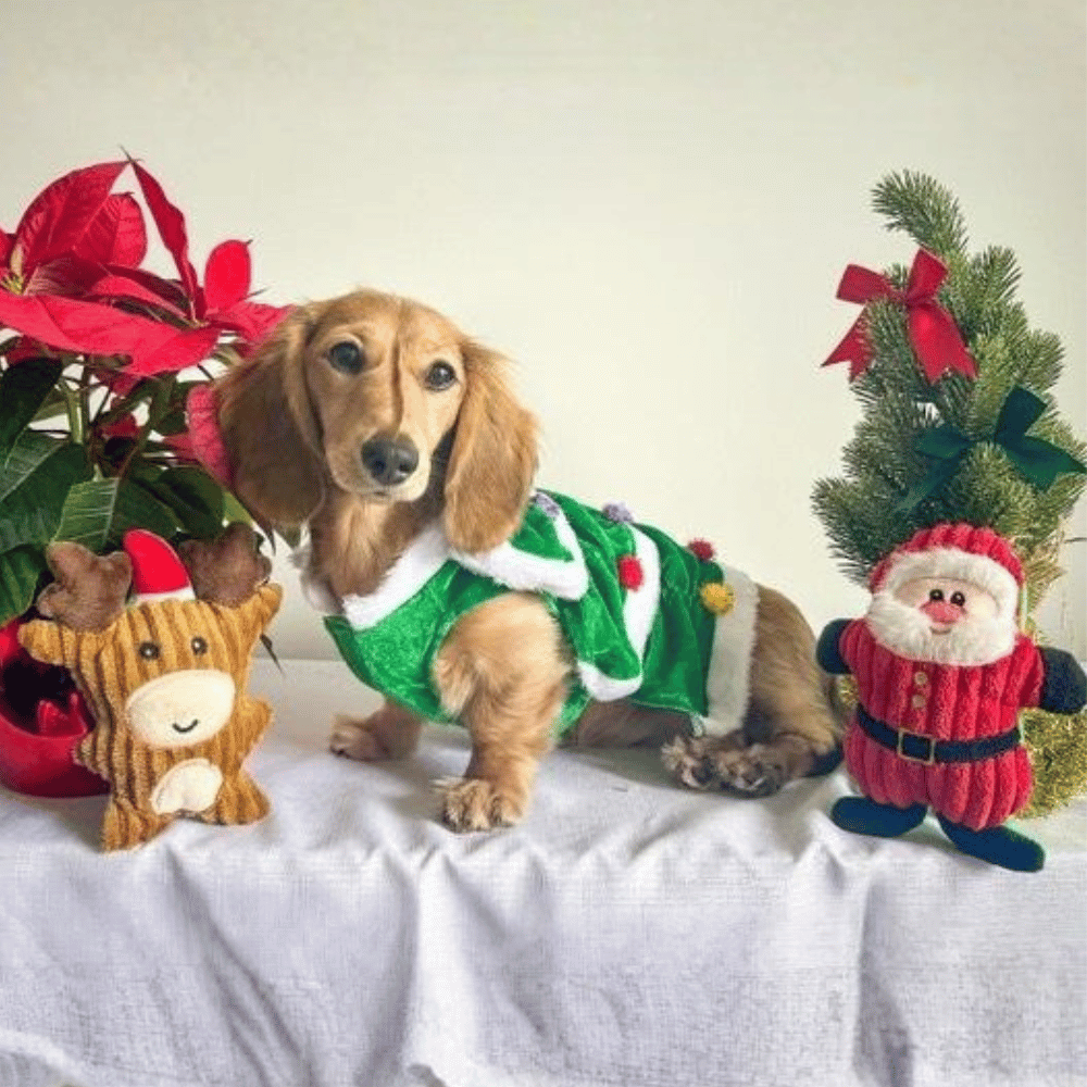 Reindeer Plush Dog Toy