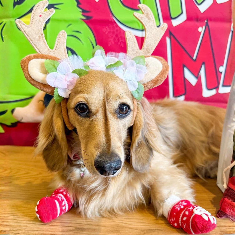 Nordic Reindeer Antlers Dog Headpiece