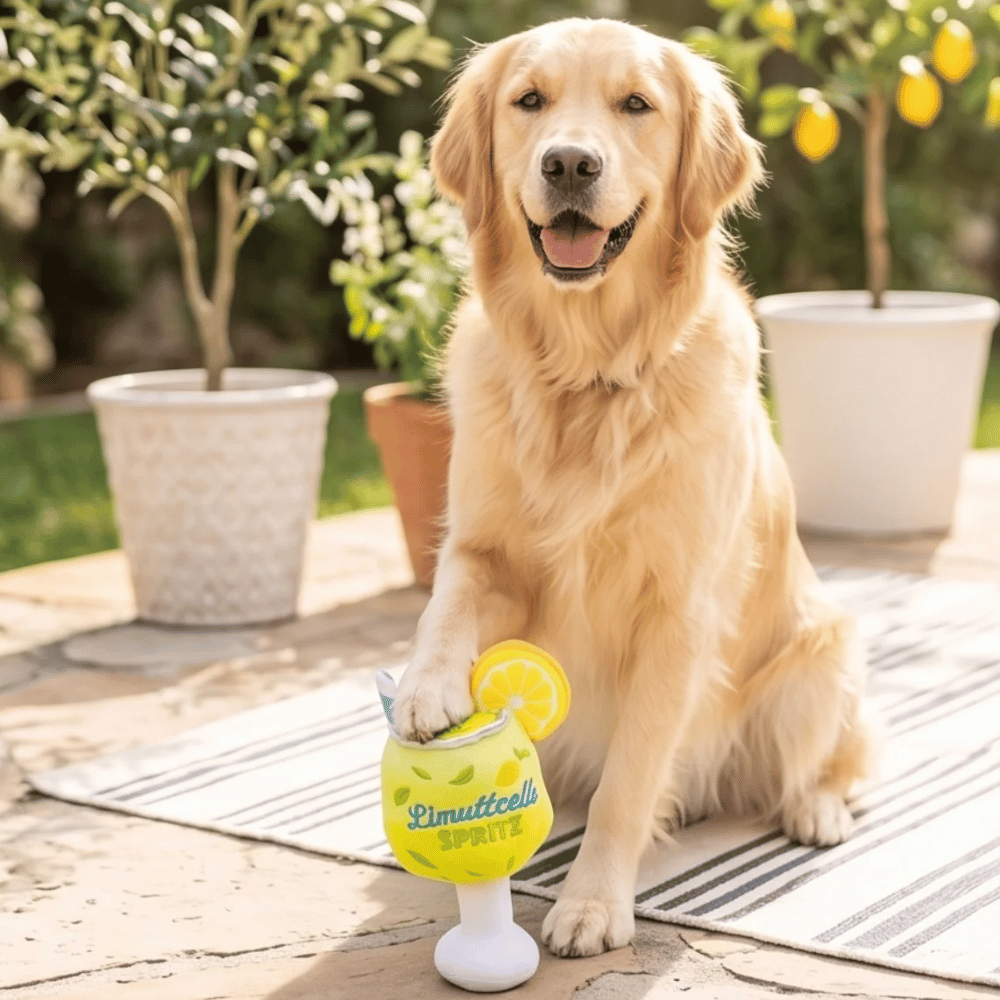 Limuttcello Spritz Squeaker Dog Toy