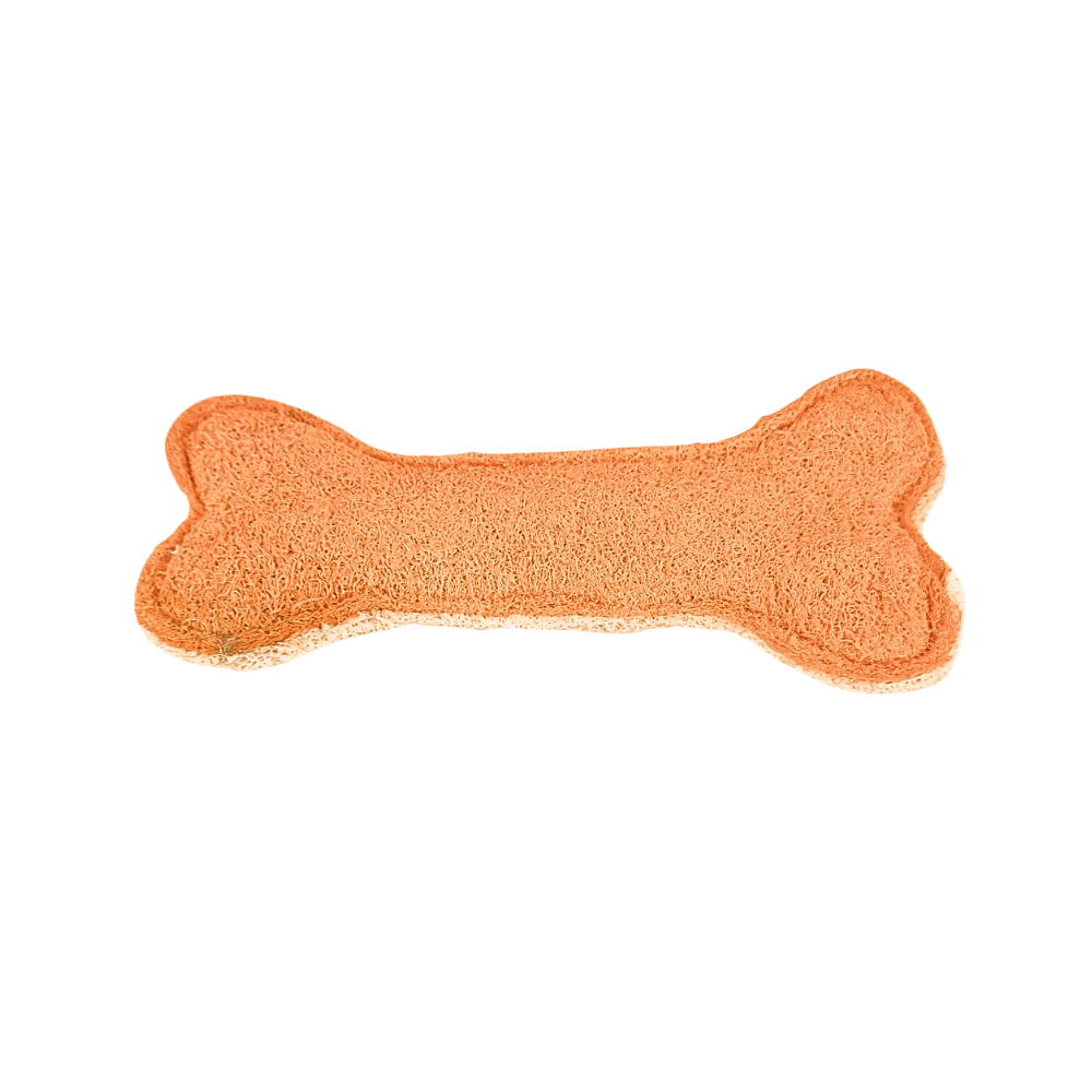 Loofah Bone Dental Toy - Large
