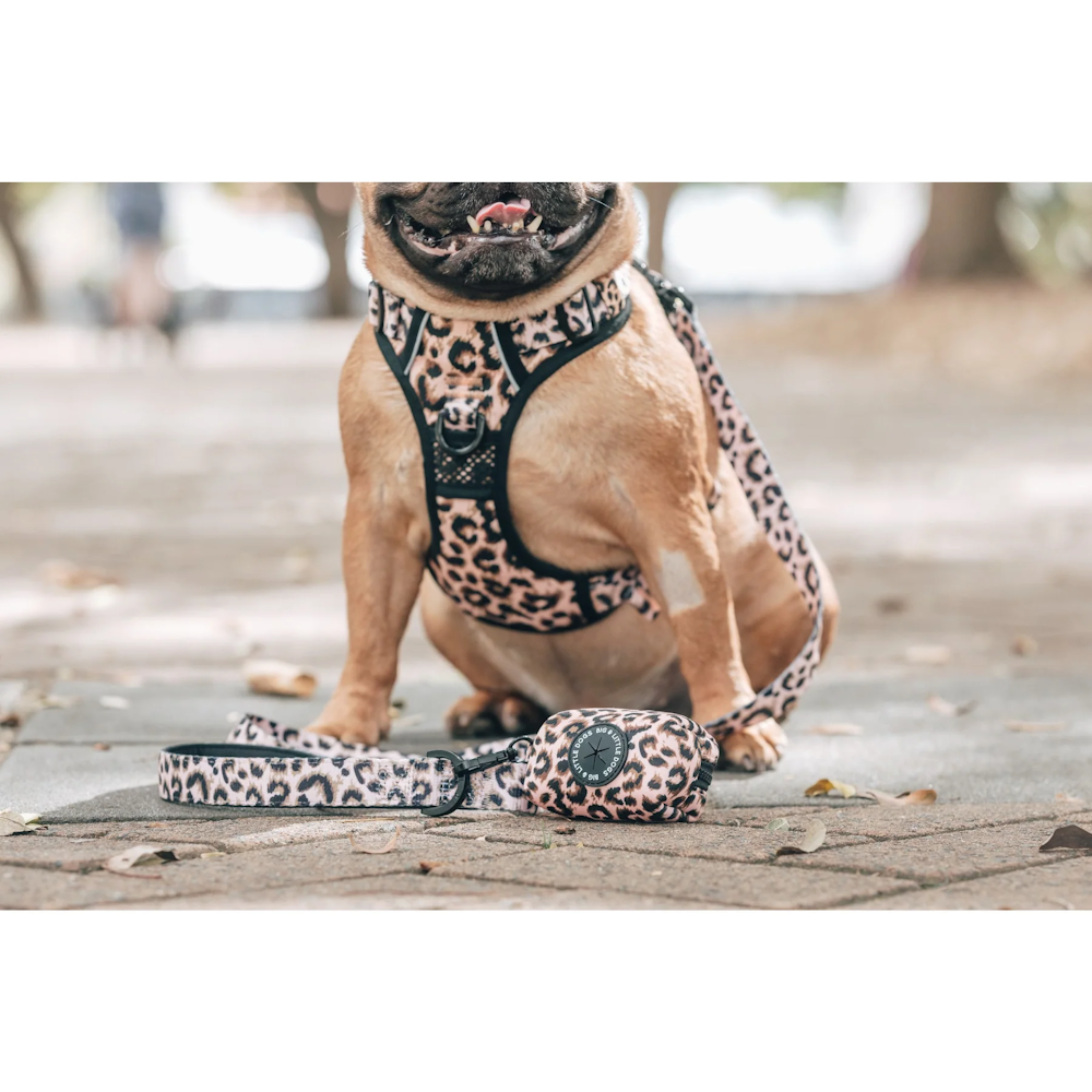 Big & Little Dogs Poop Bag Holder: Luxurious Leopard