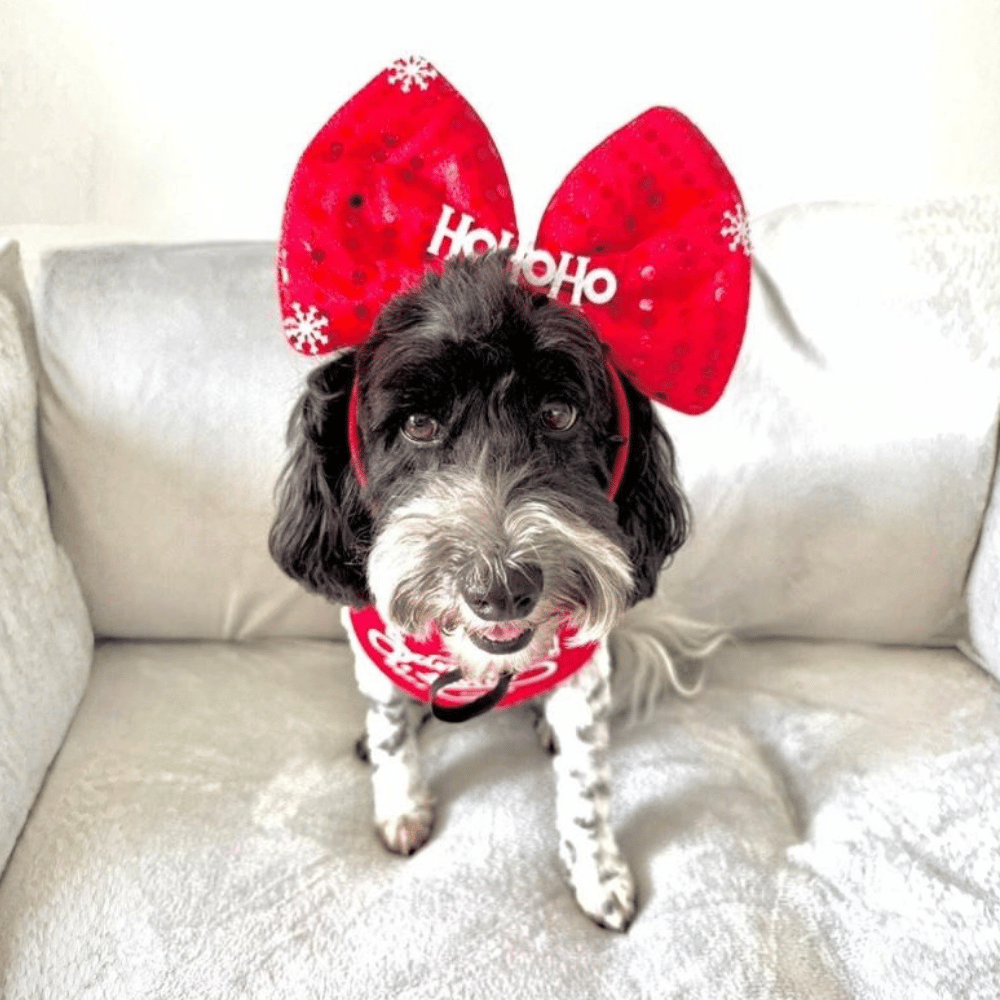 Red Bow Christmas Dog Headband