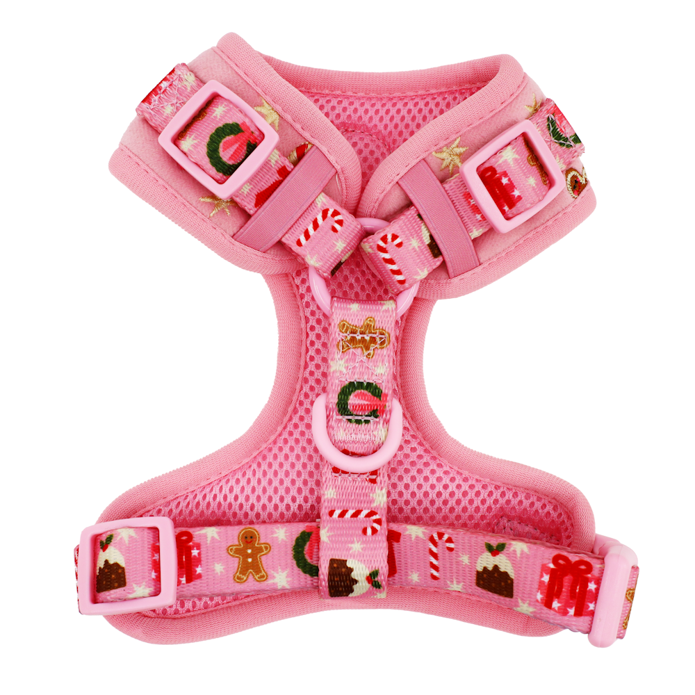 Pablo & Co Merry & Bright Adjustable Harness