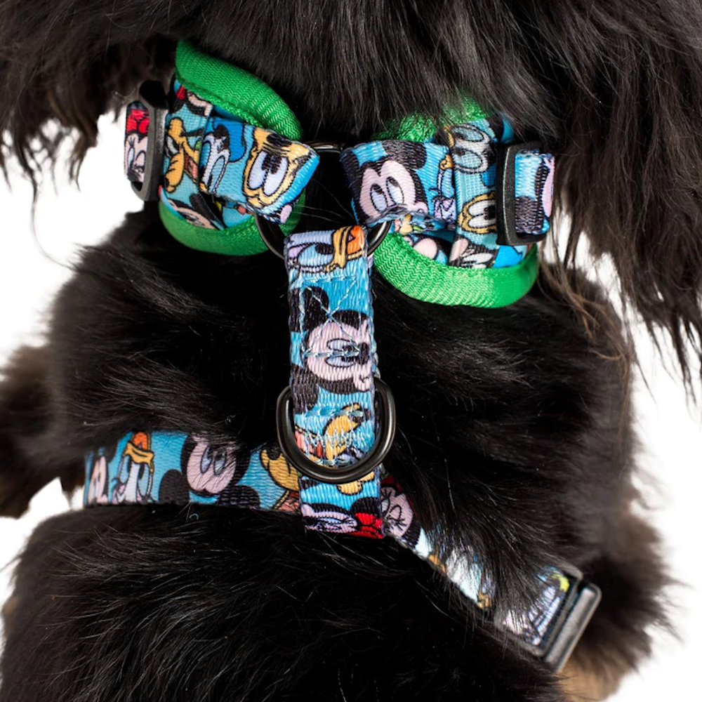 Pablo & Co Mickey & Friends: Adjustable Harness - Blue