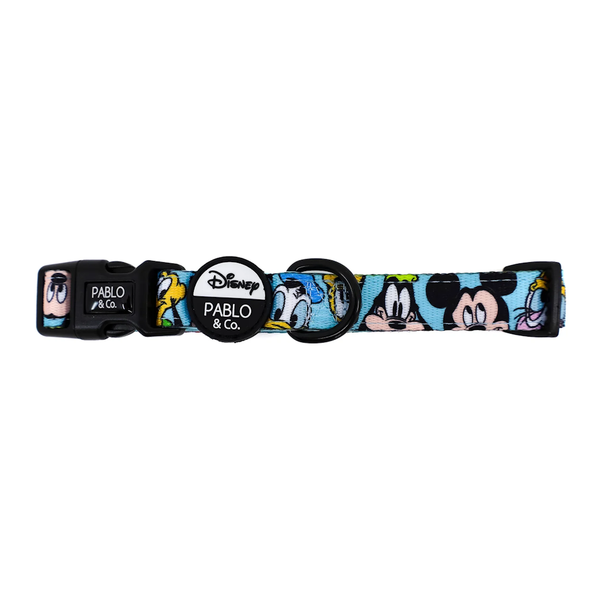 Pablo & Co Mickey & Friend: Dog Collar Blue