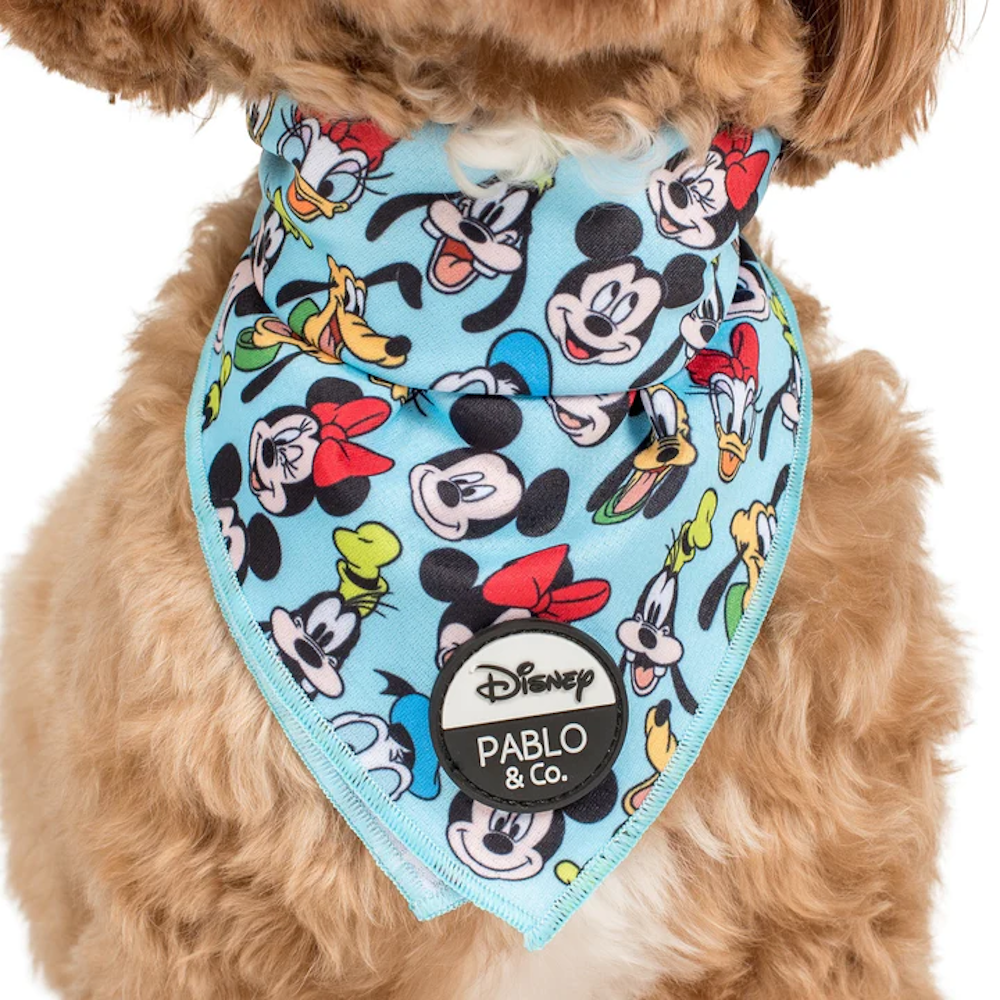 Pablo & Co Mickey & Friends: Bandana - Blue