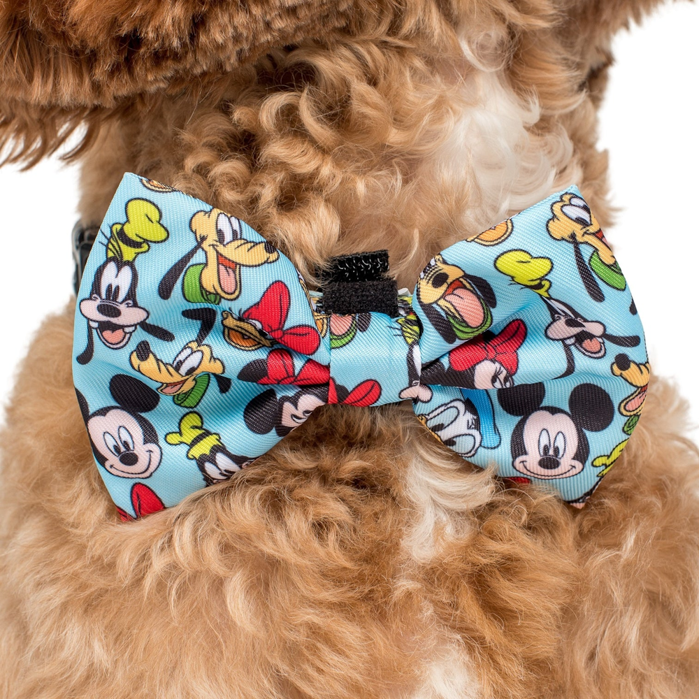Pablo & Co Mickey & Friends: Bow Tie - Blue