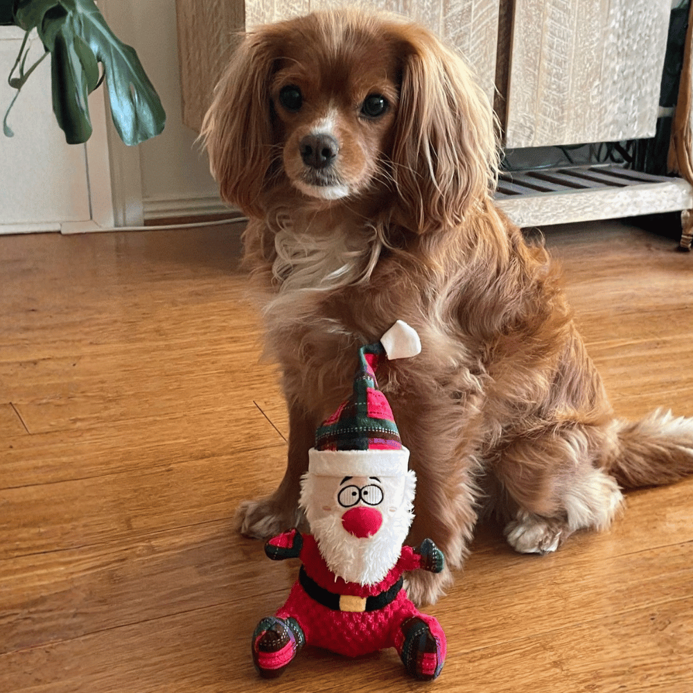 Santa Plush Plaid Dog Toy