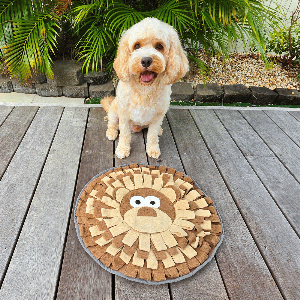 Monkey Snuffle Mat
