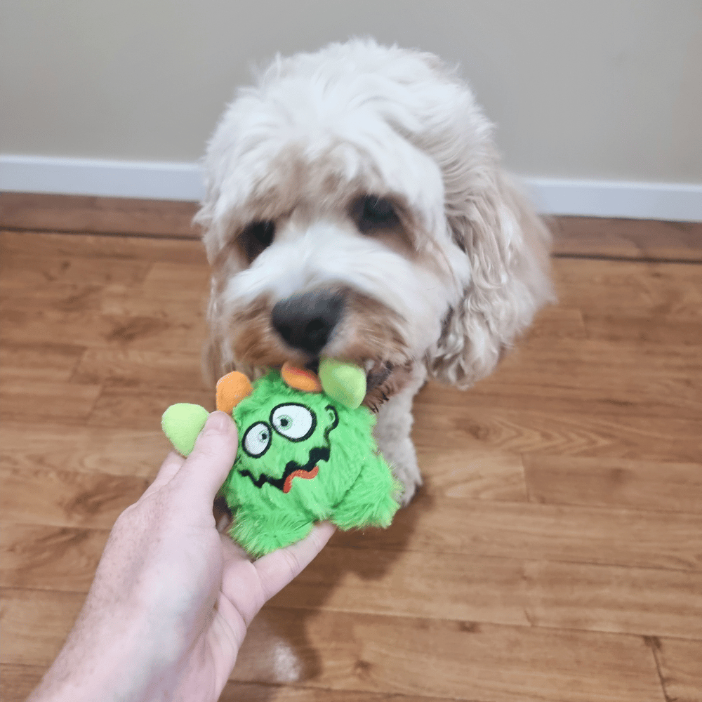 Monster Mayhem Balls
