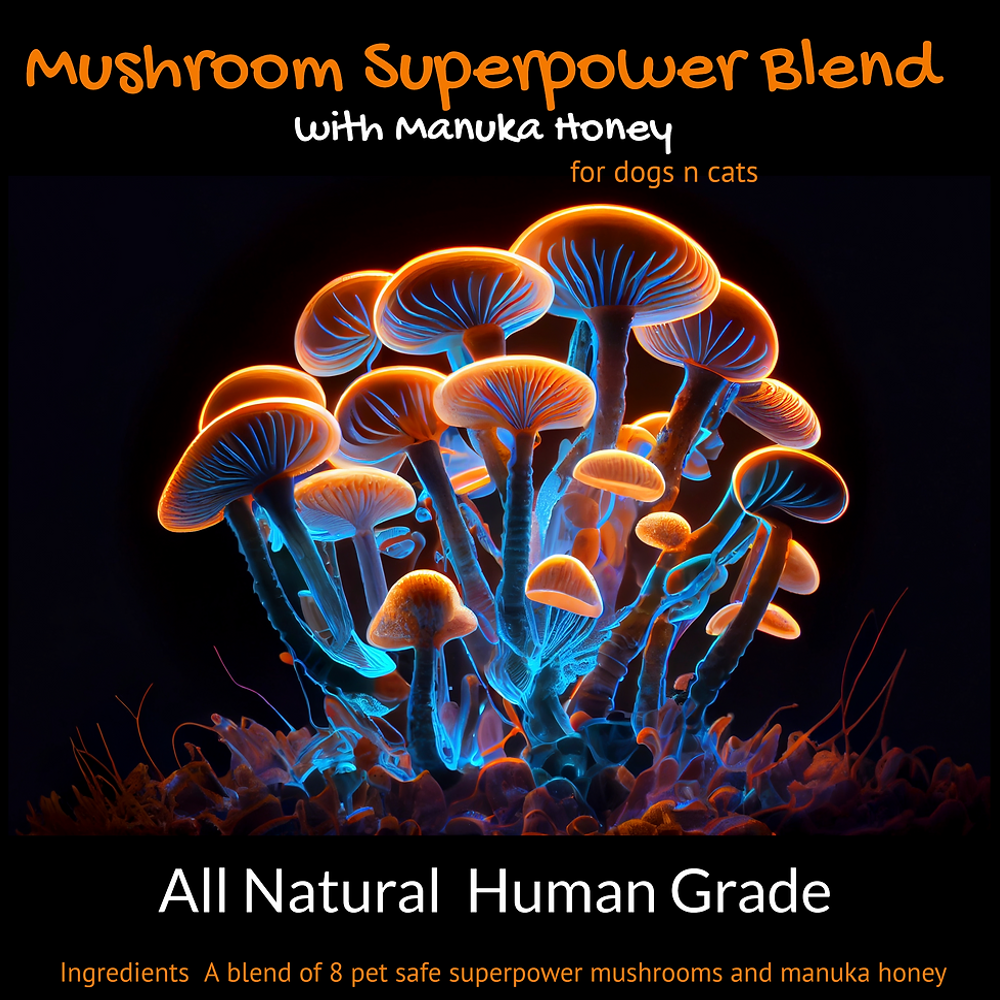 L'Barkery Mushroom Superpower Blend