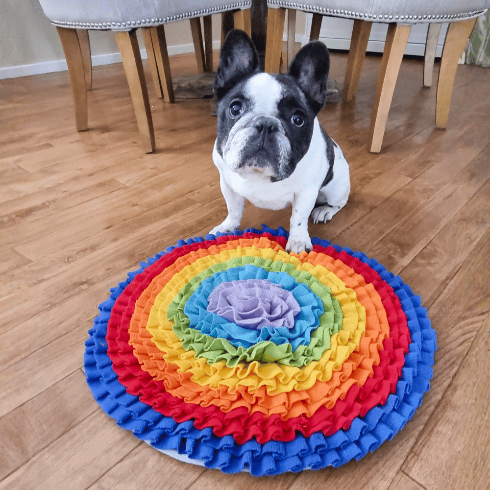 Over The Rainbow Snuffle Mat