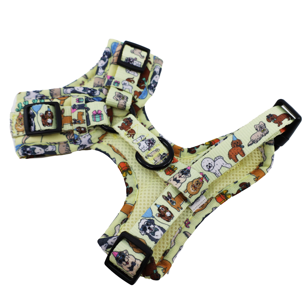 Pablo & Co Party Dawgs Adjustable Harness