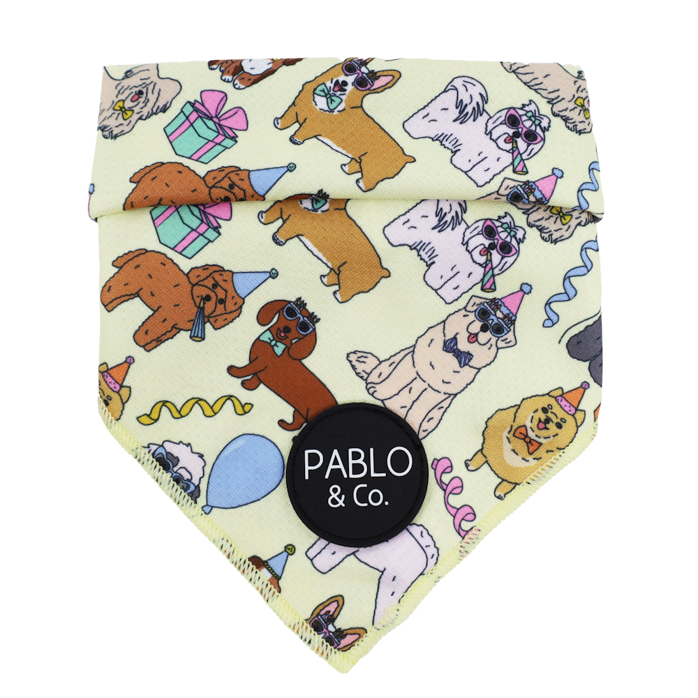 Pablo & Co Party Dawgs Bandana