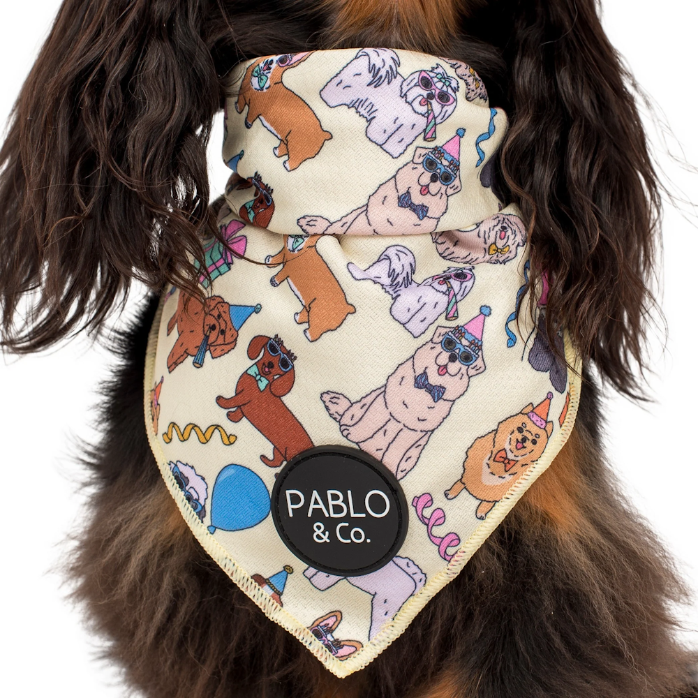 Pablo & Co Party Dawgs Bandana