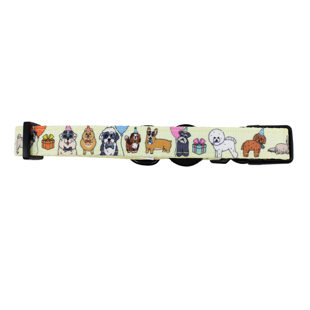 Pablo & Co Party Dawgs Dog Collar