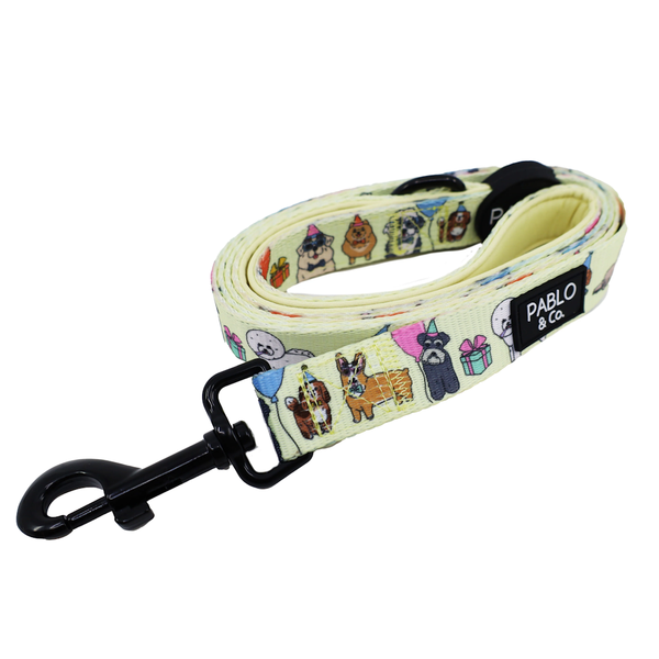 Pablo & Co Party Dawgs Dog Leash