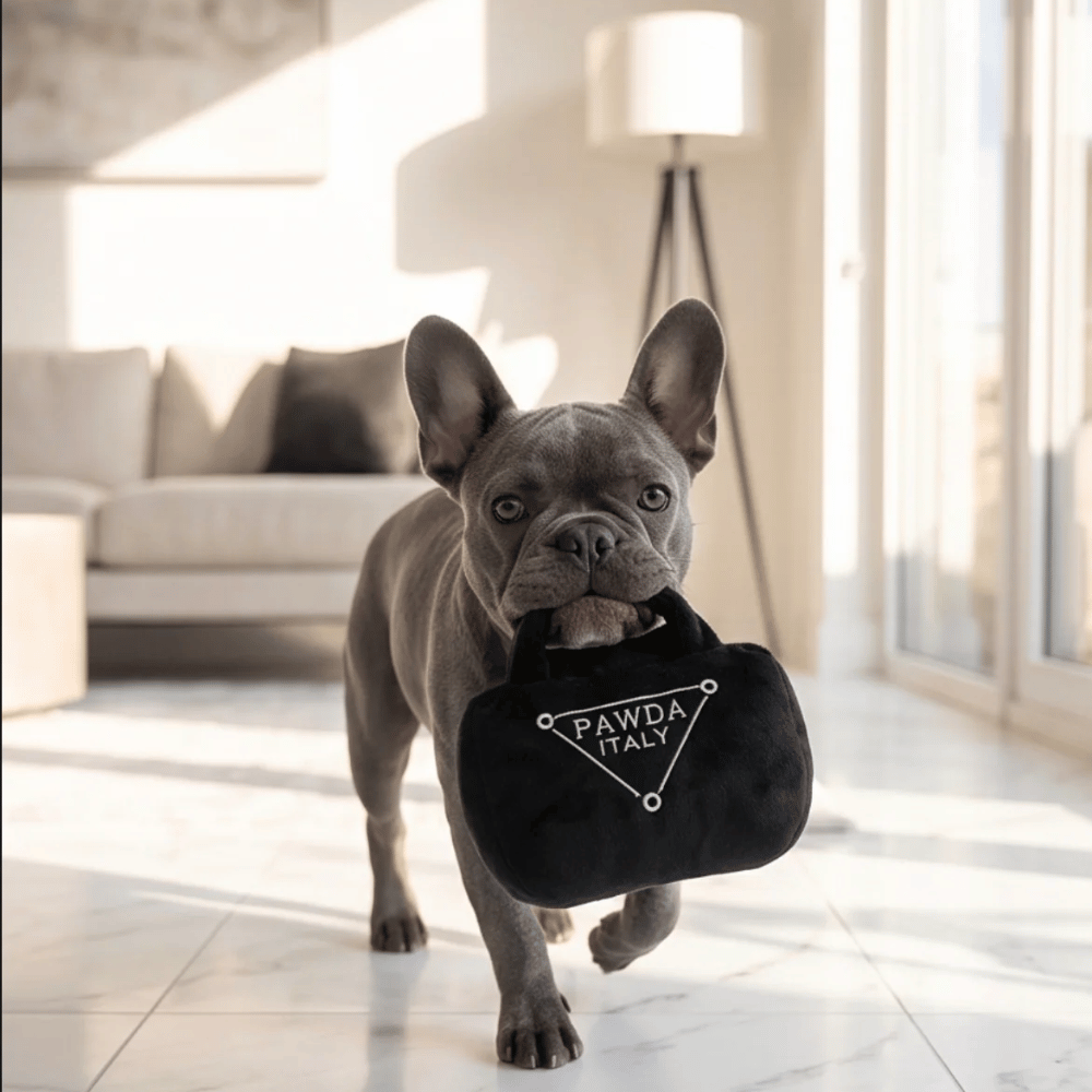 Pawda Handbag Dog Toy