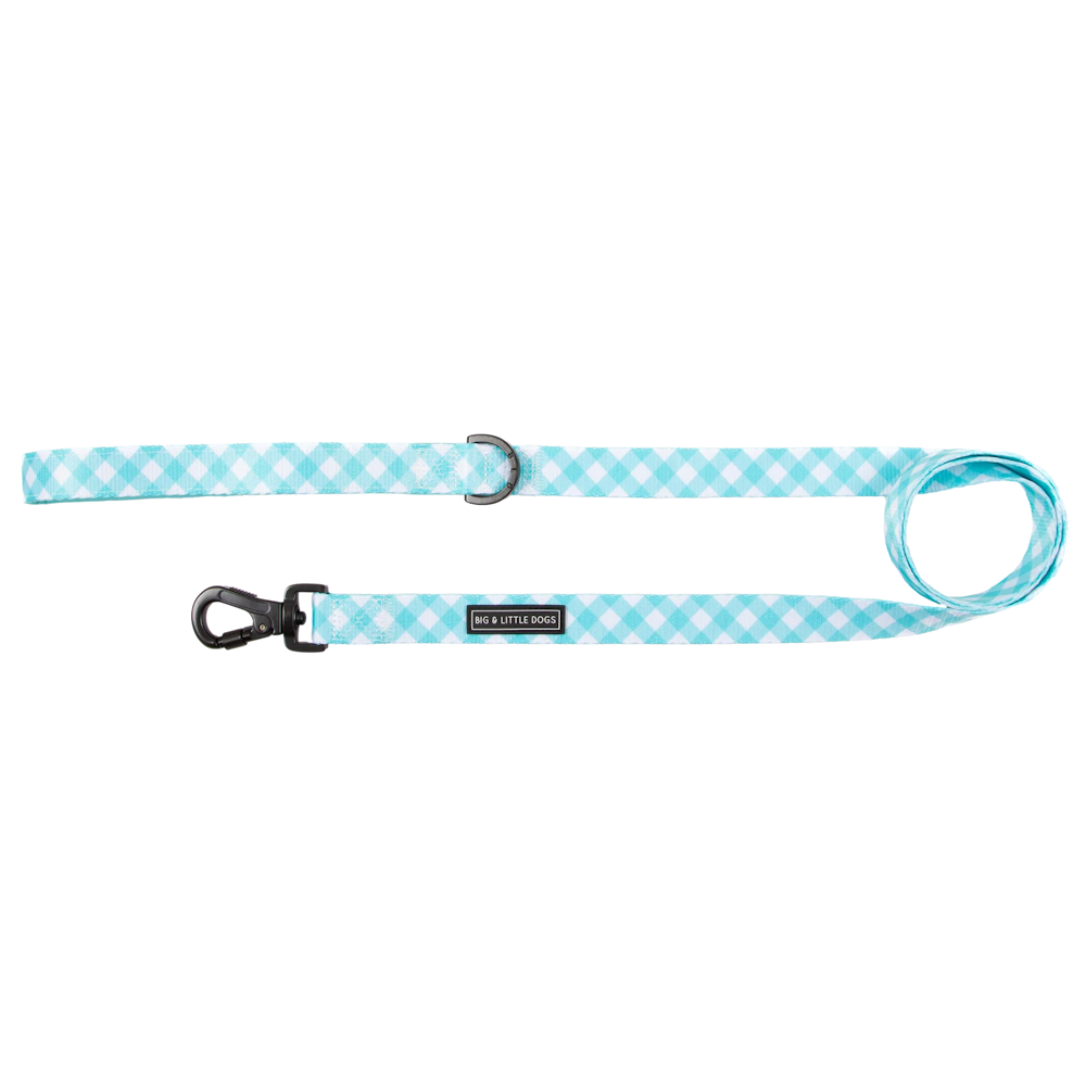 Big & Little Dogs Dog Leash - Peppermint Gingham