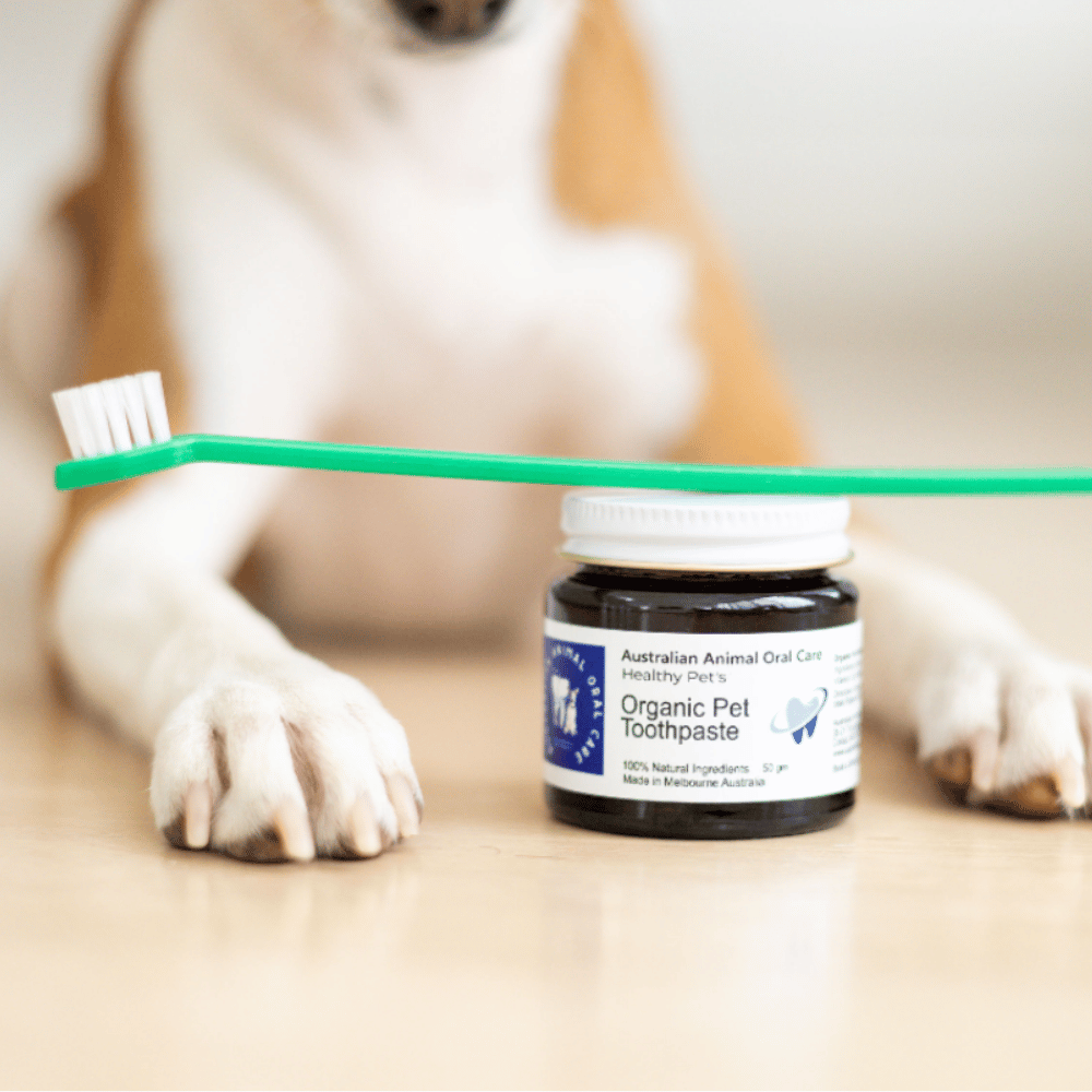 Pet Toothpaste