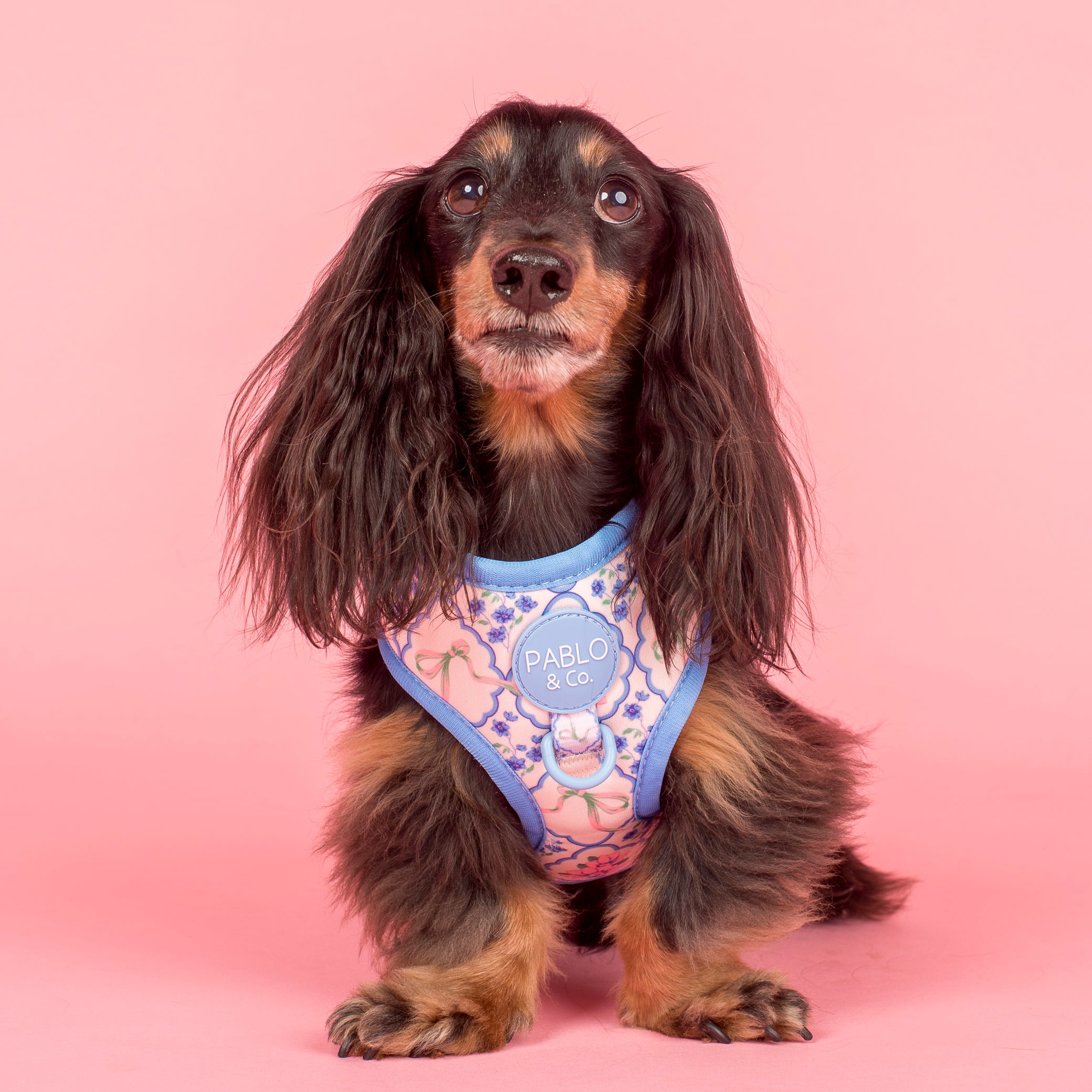 Pablo & Co Petal Adjustable Harness