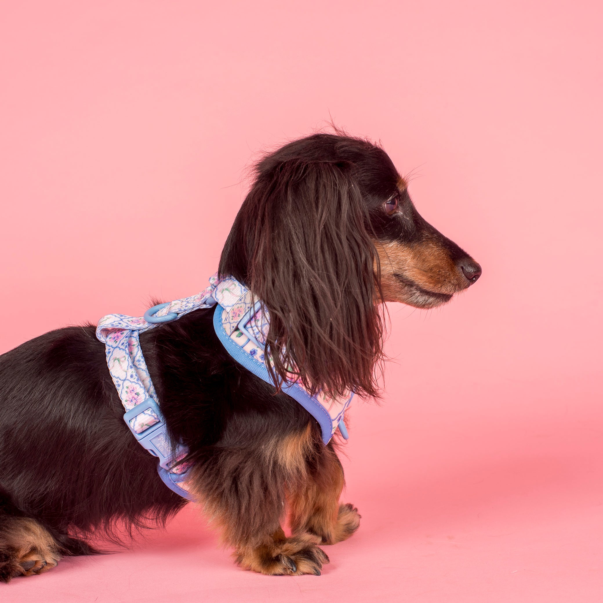 Pablo & Co Petal Adjustable Harness