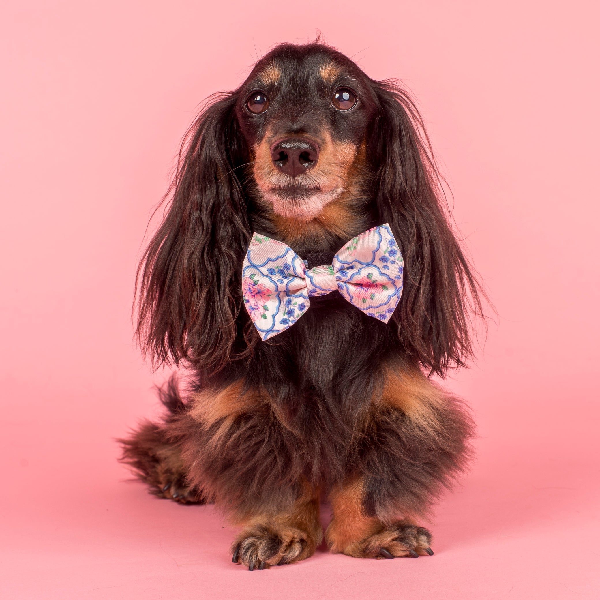 Pablo & Co Petal Bow Tie