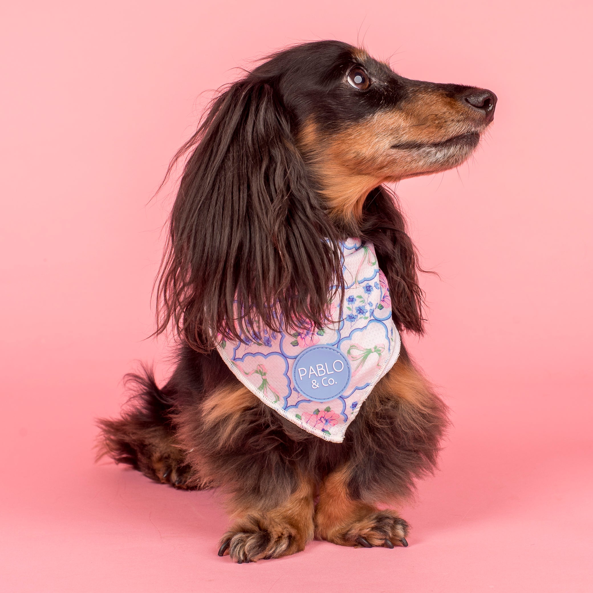 Pablo & Co Petal Bandana