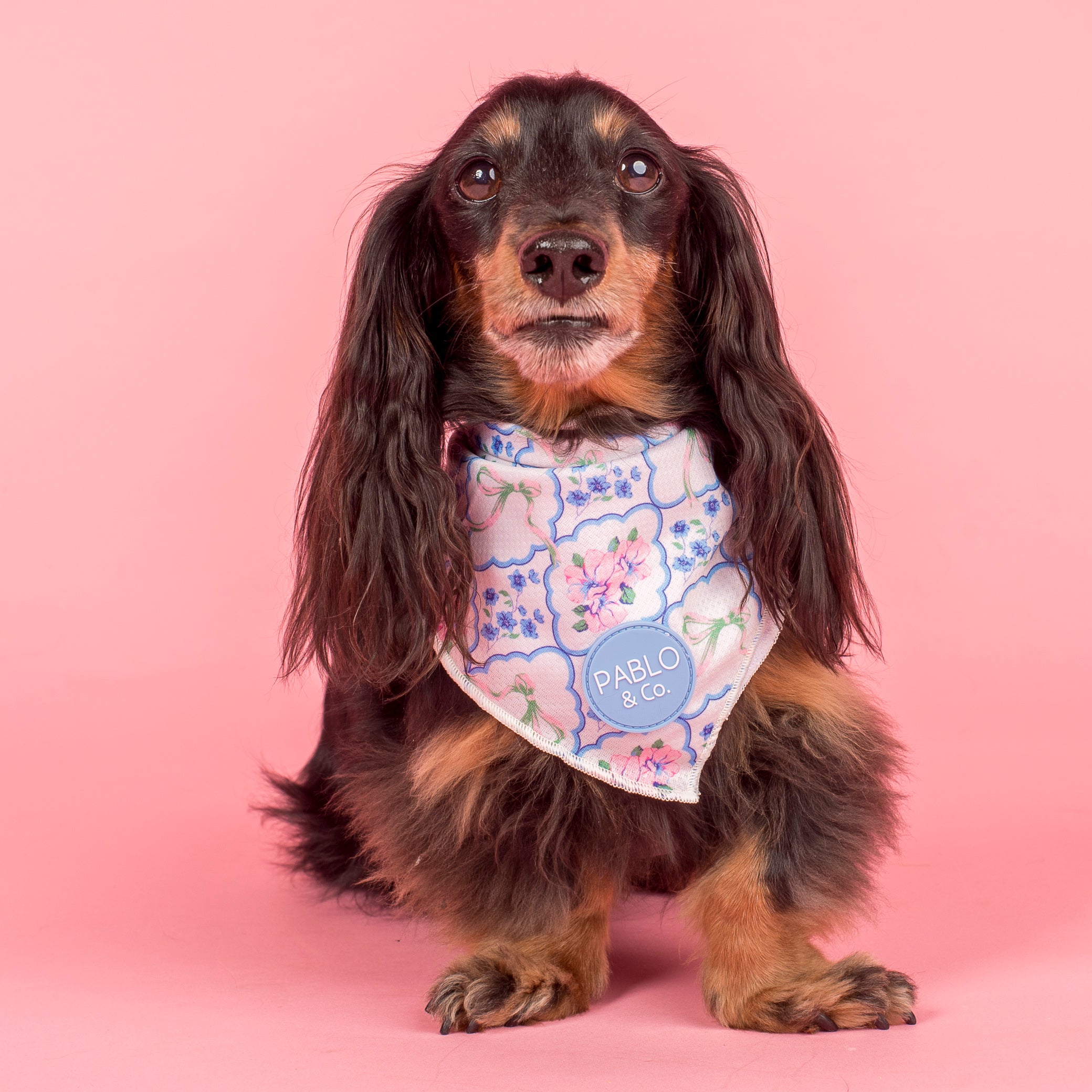 Pablo & Co Petal Bandana