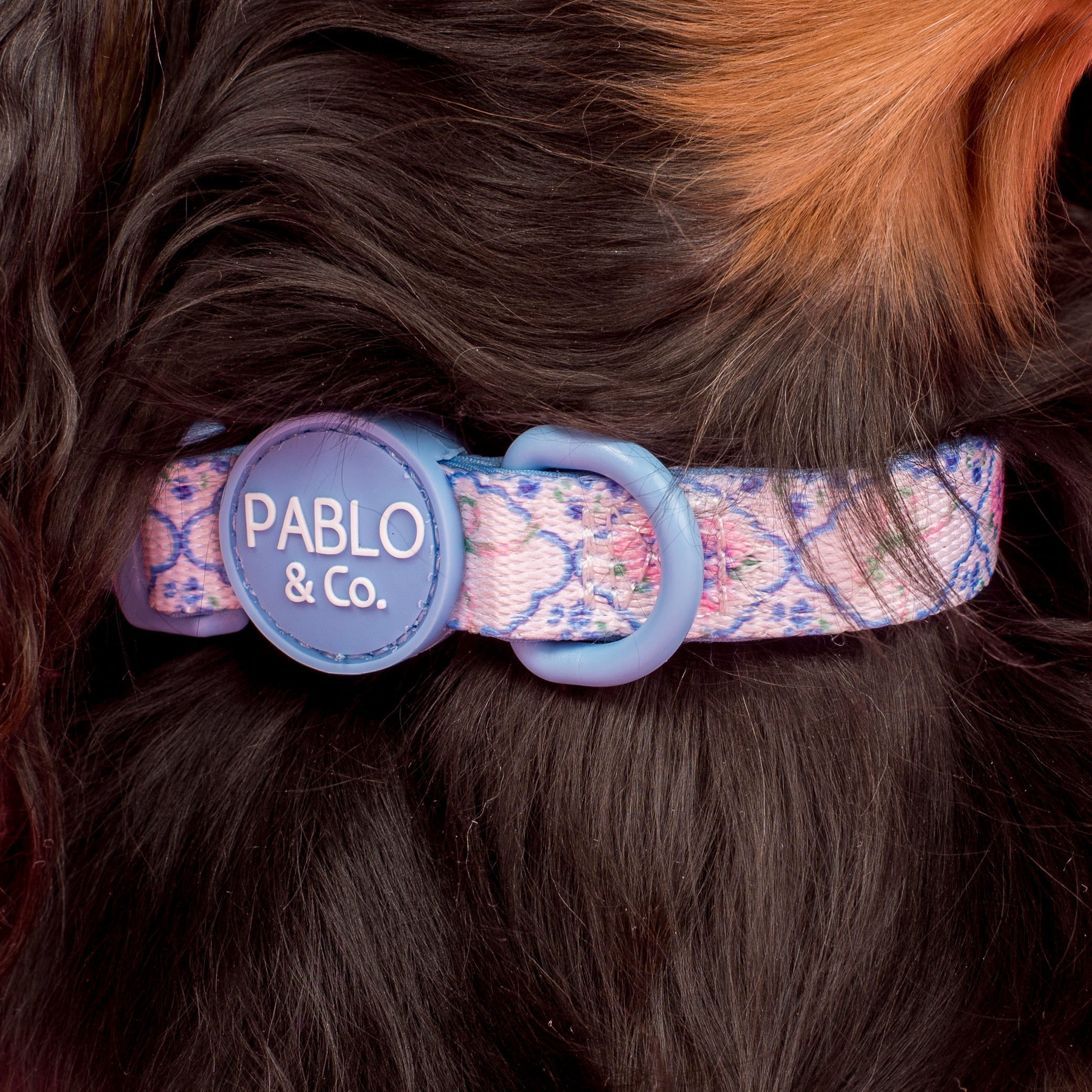Pablo & Co Petal Dog Collar