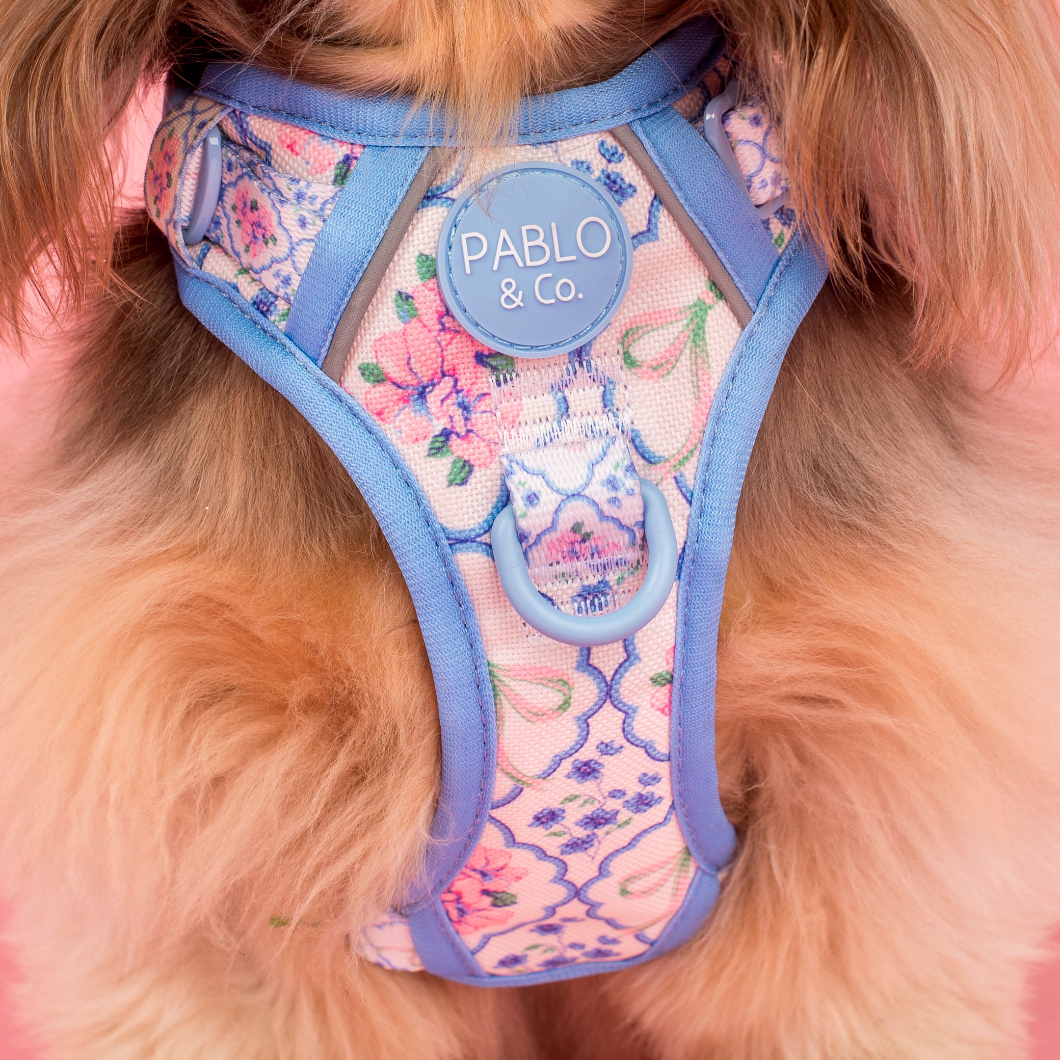 Pablo & Co Petal No Pull Harness