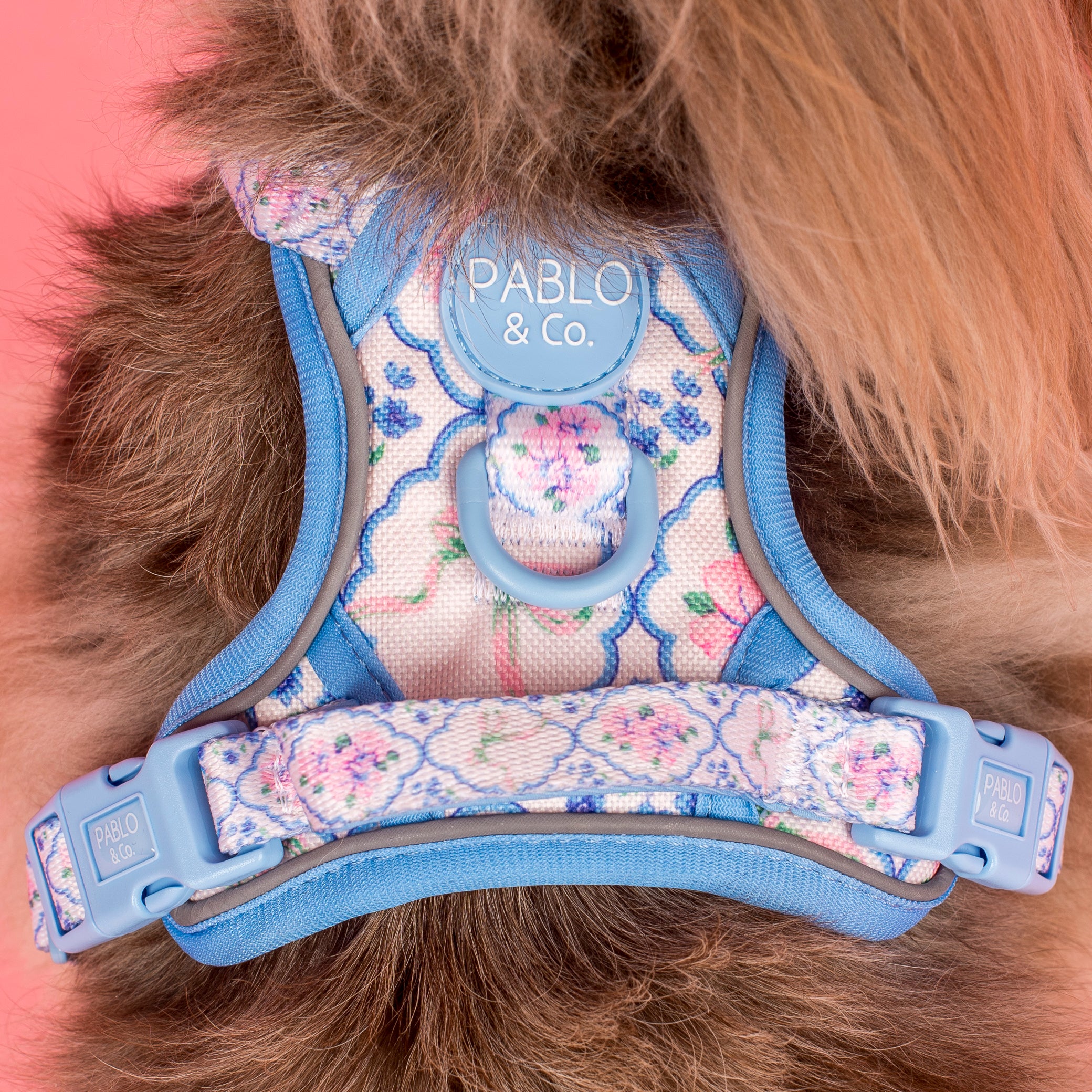 Pablo & Co Petal No Pull Harness