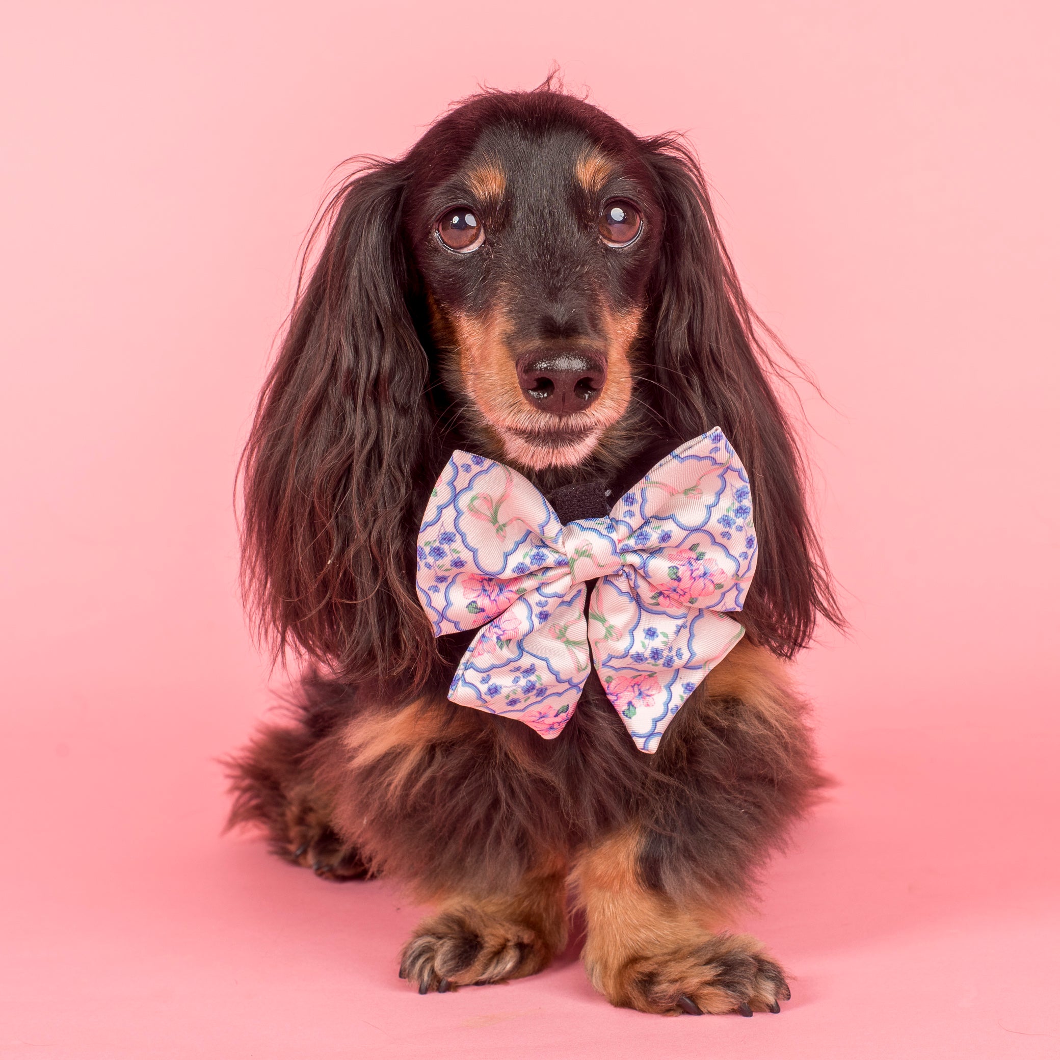 Pablo & Co Petal Sailor Bow