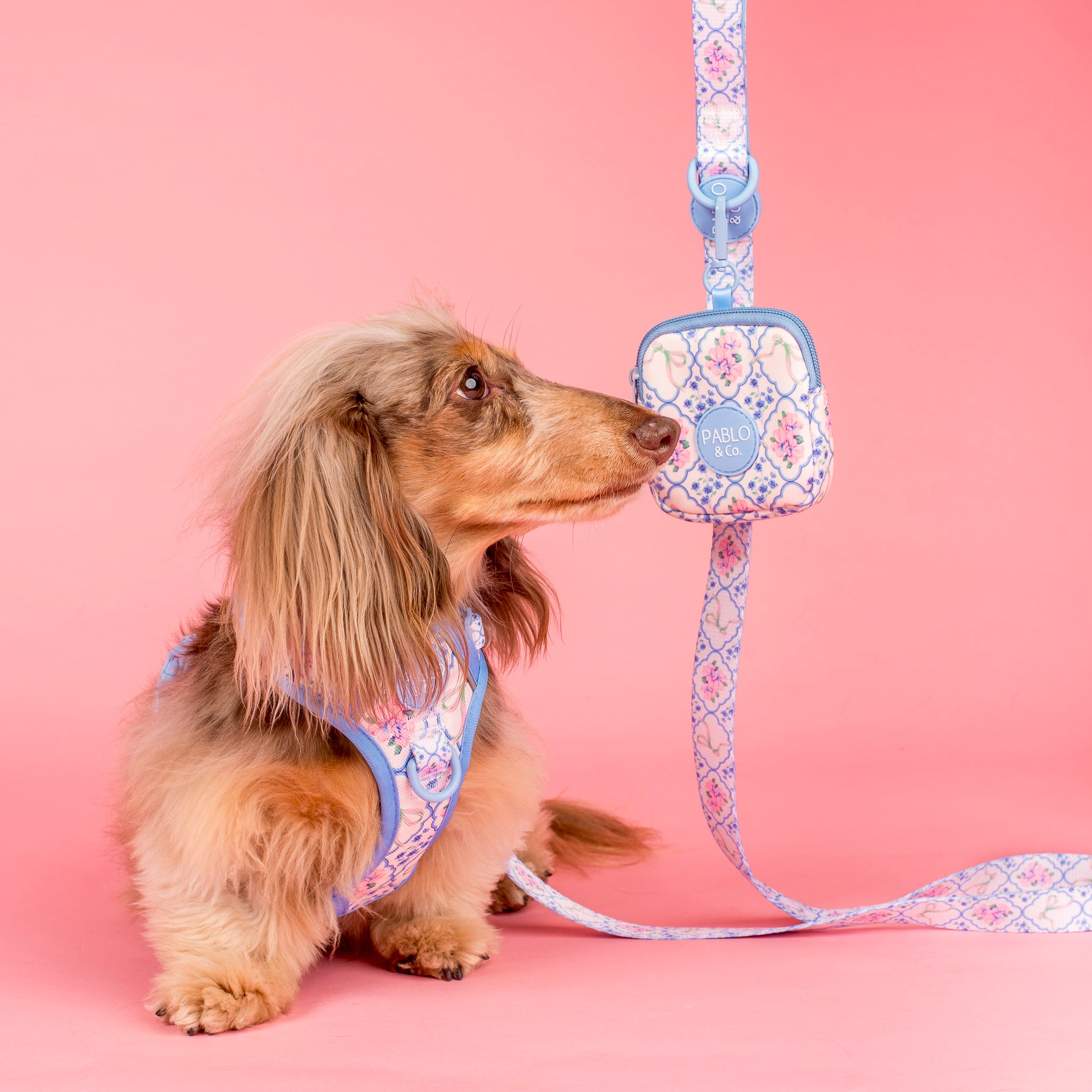 Pablo & Co Petal Treat Pouch
