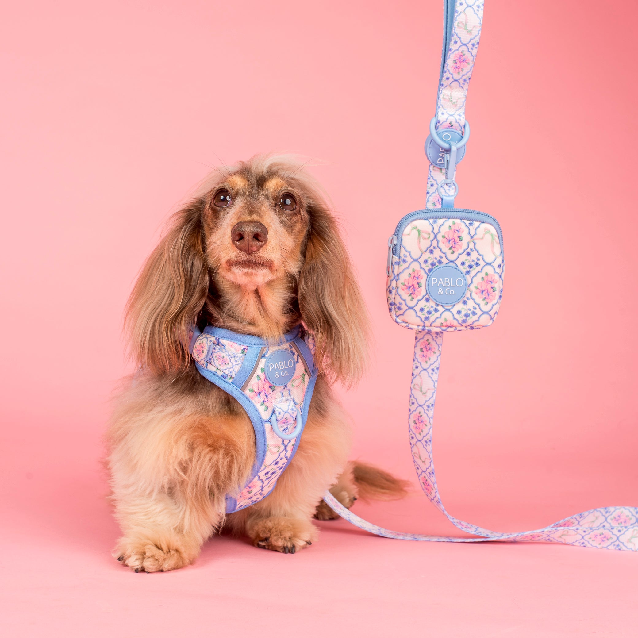 Pablo & Co Petal Treat Pouch