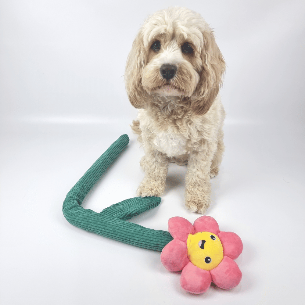 Pink Daisy Flower Dog Toy