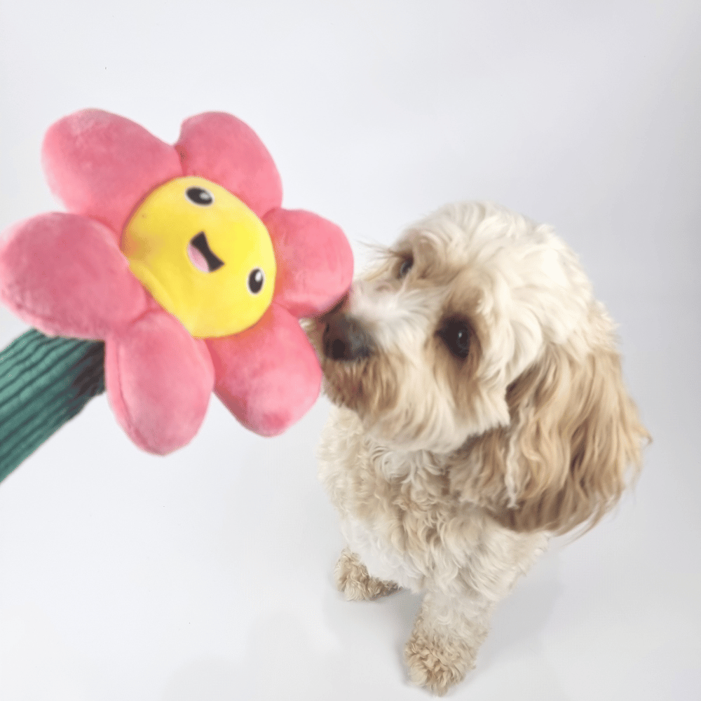 Pink Daisy Flower Dog Toy