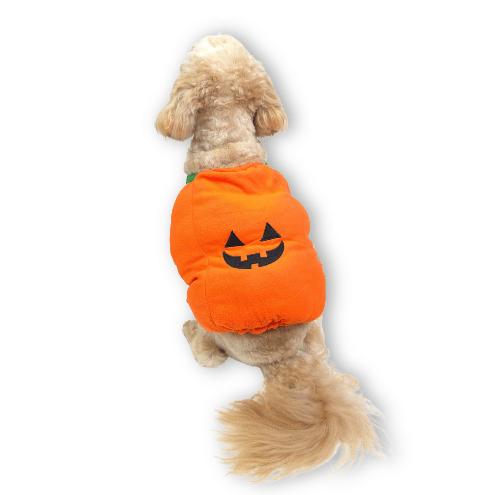 Halloween Pumpkin Dog Costume