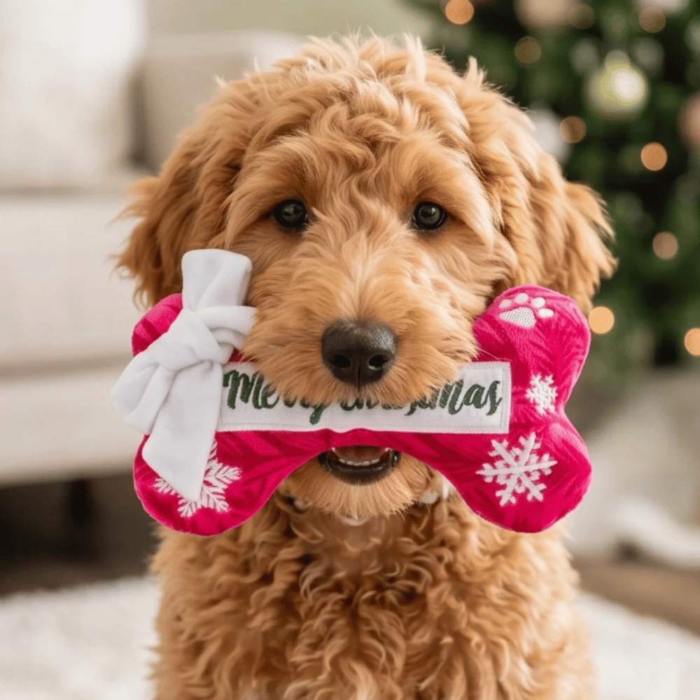 Puppermint Bone Merry Christmas Plush Dog Toy