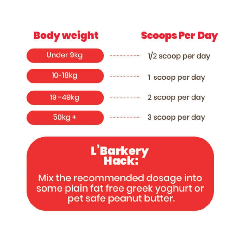L'Barkery Puppicino Bulk Bag - 60 Serves