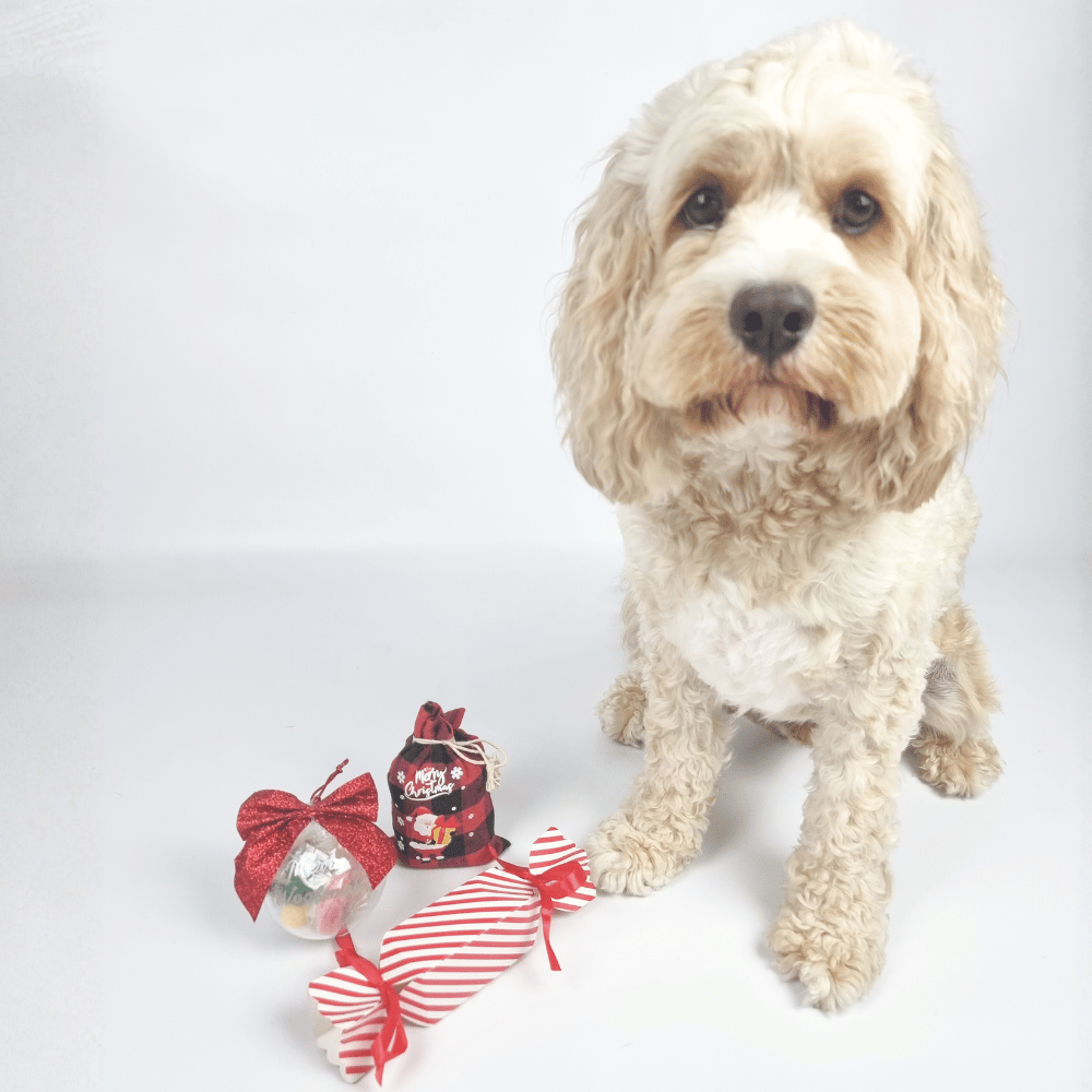 Santa Paws Lolly Sack