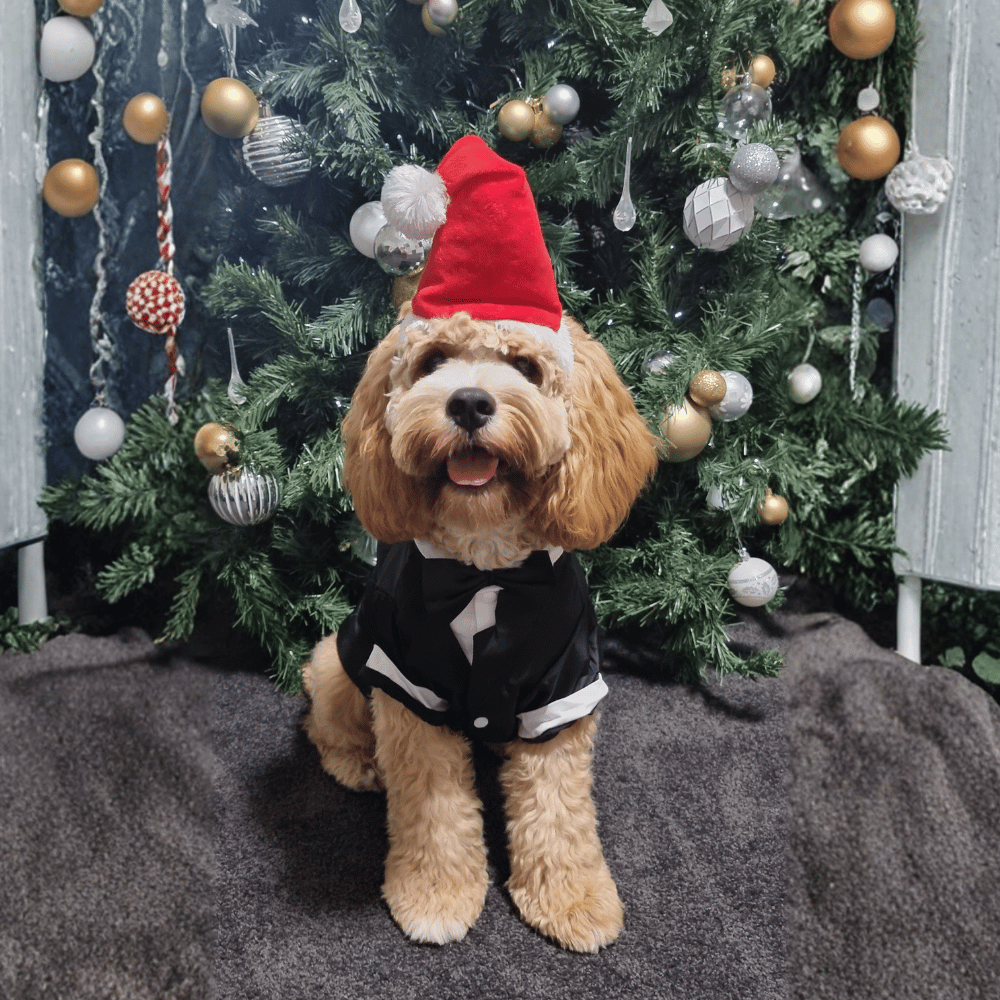 Deluxe Santa Hat